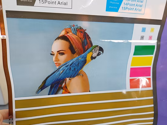 Macchina da stampa flessografica 2 colori